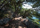 2015 08- D8H0972 : Makarska, semester, utomlands